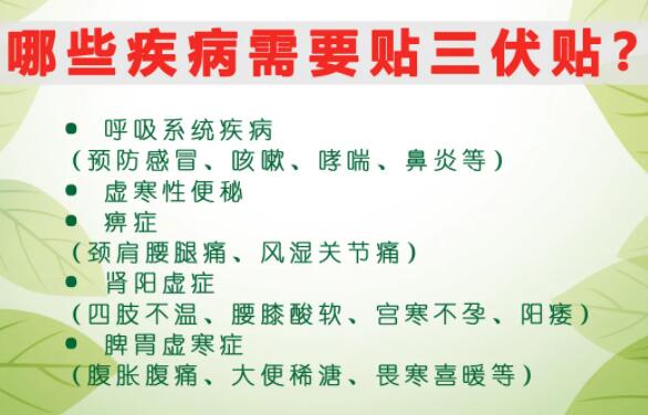 2、什么是三伏貼？三伏貼的作用？