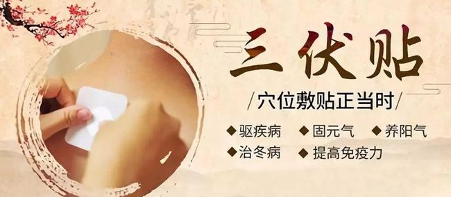 1、三伏貼要連續(xù)貼幾天