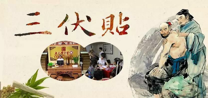 2、什么是三伏貼？三伏貼的作用？